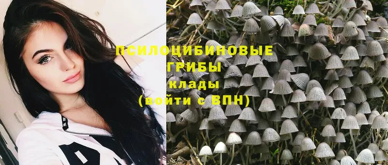 Галлюциногенные грибы GOLDEN TEACHER  Ряжск 